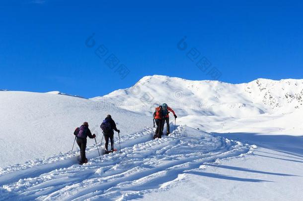 组关于人徒步旅行向雪鞋和山雪全景画wickets三柱门