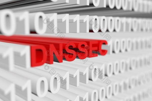 DNSSEC<strong>公司</strong>