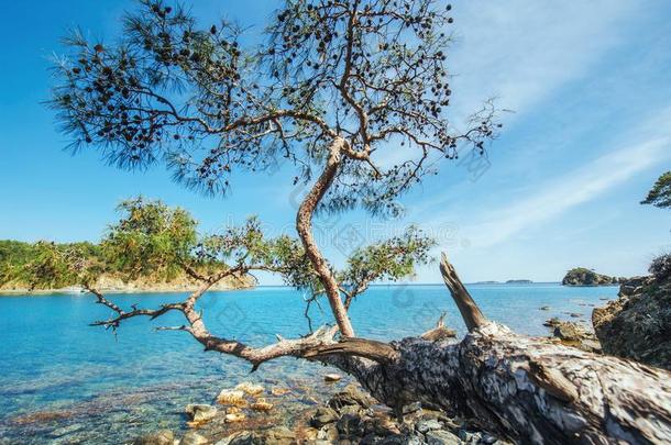 全景的看法向海海岸.美好世界.火鸡