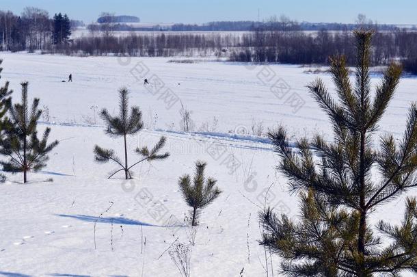 户外的森林春季下雪的木材反映季节湖蓝色scenario电影脚本