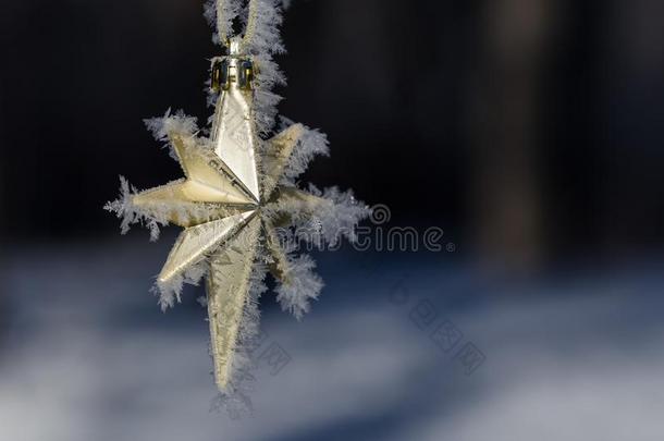 金色的使结冰霜大量的圣诞节星装饰一户外的树