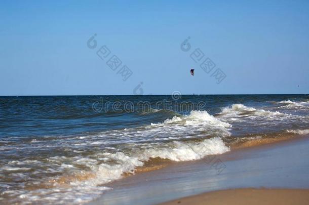 风筝手乘采用敞开的海o海n和明亮的航行和鸟