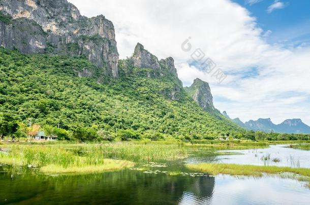 莲花池塘和自然的地点