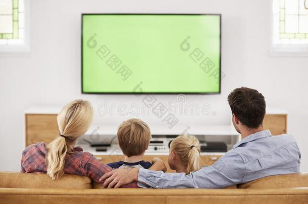 饲养看法关于家庭一次向沙发采用休息厅观察电视直播