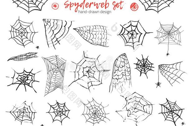蹩脚<strong>货单</strong>色画放置关于蜘蛛蜘蛛网和蜘蛛s向白色的后座议员