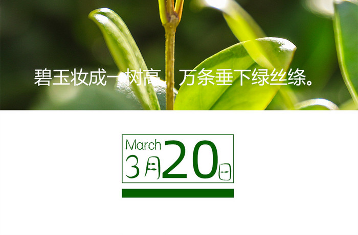 唯美大气绿色三月二十日签手机海报
