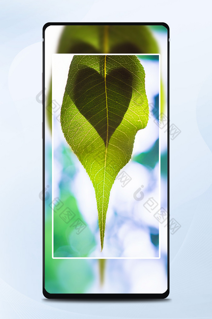 植物摄影大片的绿植配图设计