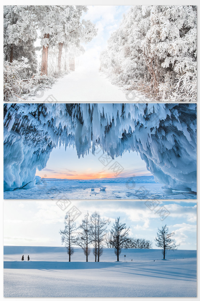 雪景与植物摄影图图片图片