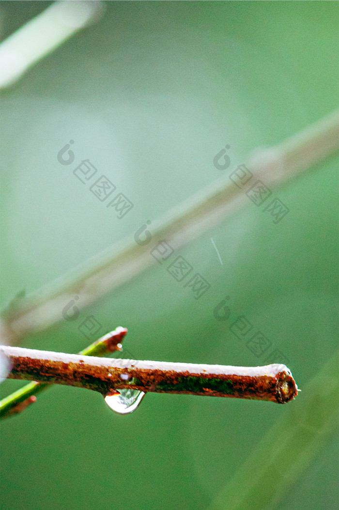 树林山峰自然风景手机壁纸