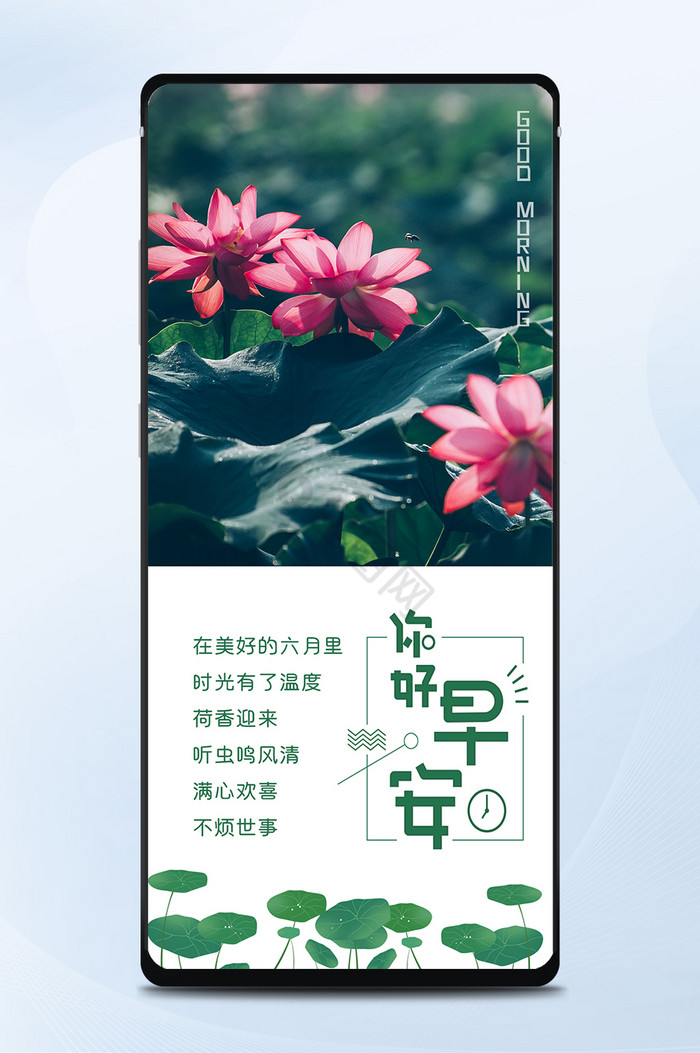 6月早安荷花小清新手机海报