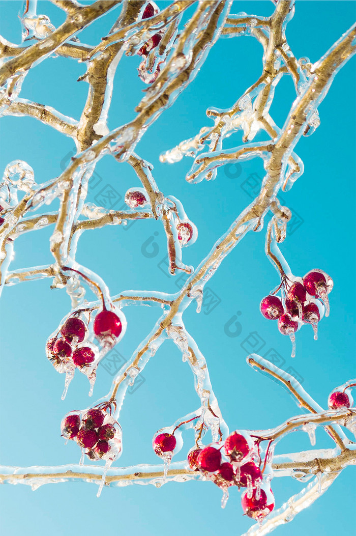 高清海水冰雪融化背景摄影手机壁纸