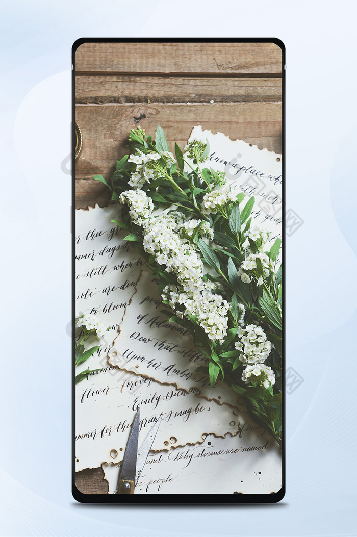 清新植物鲜花摄影图手机壁纸图片图片