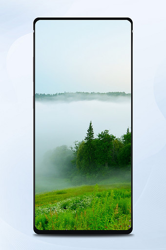绿色调雾气缭绕的森林摄影手机壁纸图片