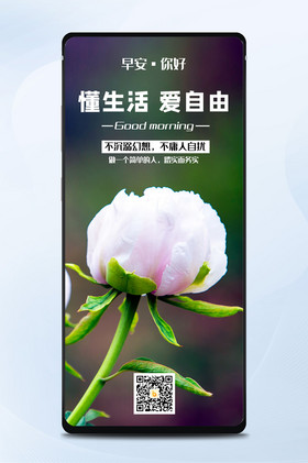 极简文艺小清新早安你好手机配图